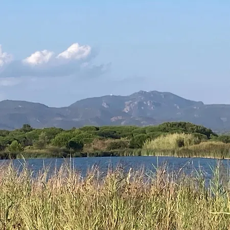 Climatisee Calme Avec Piscine Partagee Aygulf/frejus Villa